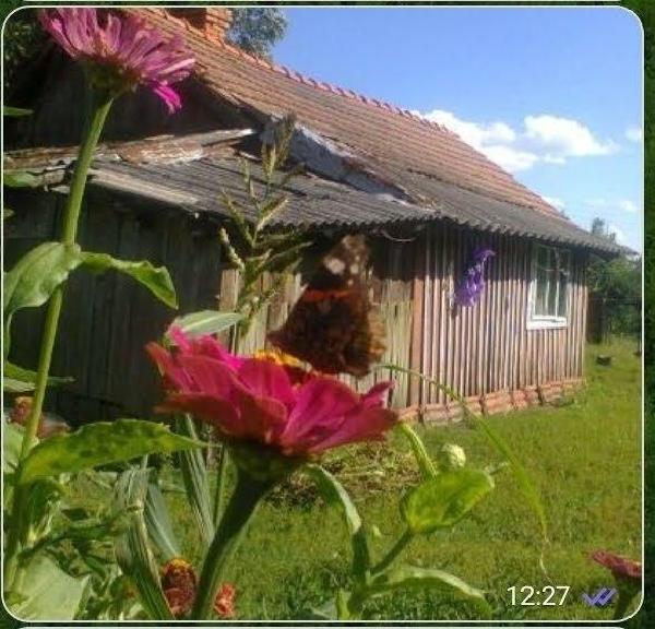 будинок продам село Турка, фото 2 з 2
