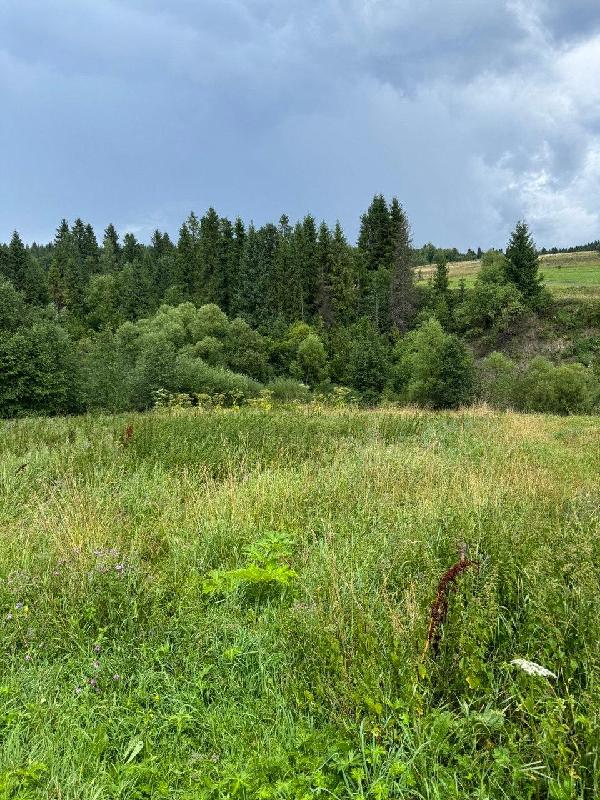 земля продам село Верхнє, фото 2 з 6