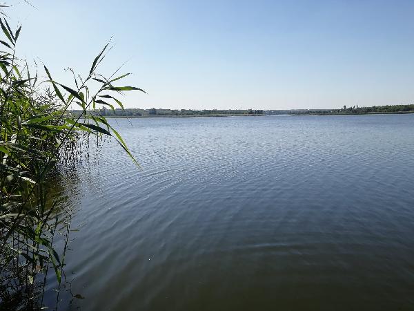 Вихід до річки з городу - фото нерухомості