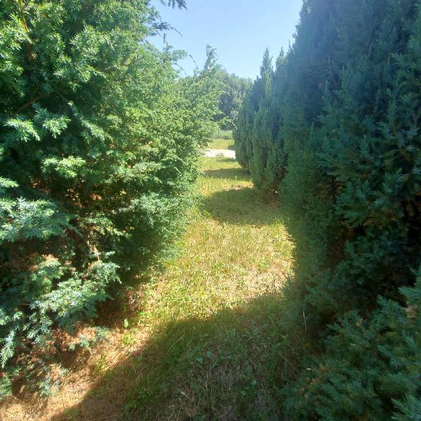 будинок продам, фото 5 з 7