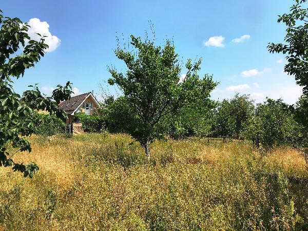 будинок продам село Дмитрівка, фото 7 з 9