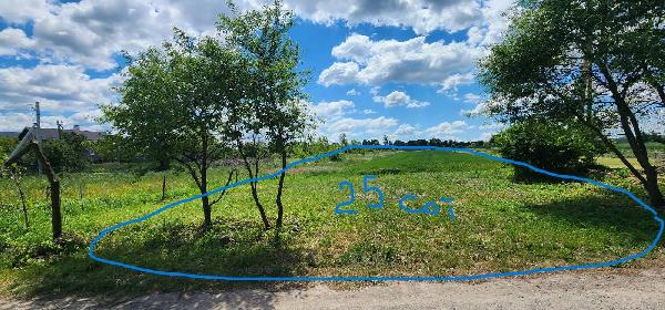 земля продам село Чишки, фото 3 з 6