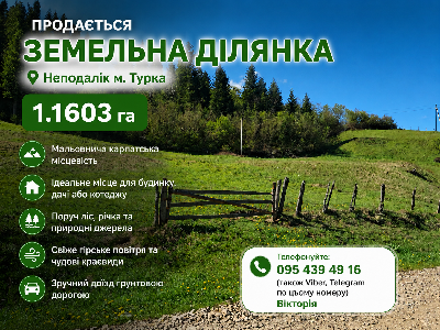 земля продам село Ясениця, фото
