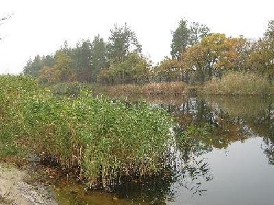 - фото нерухомості