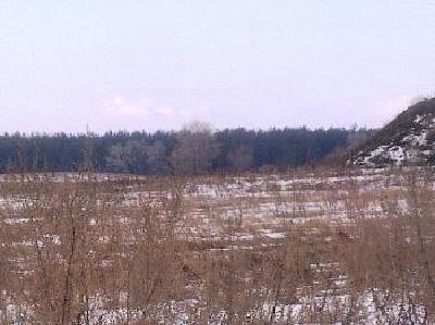 - фото нерухомості