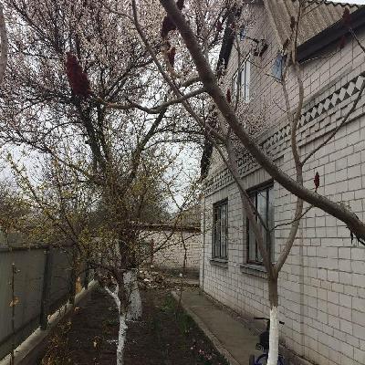 - фото нерухомості