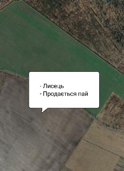  - фото нерухомості  