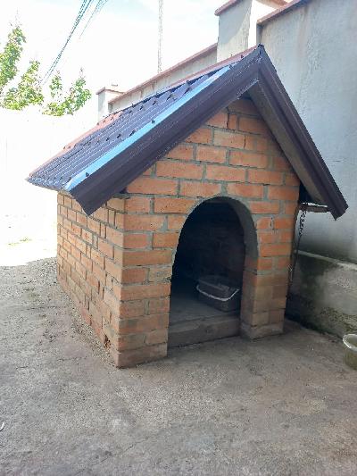  - фото нерухомості  
