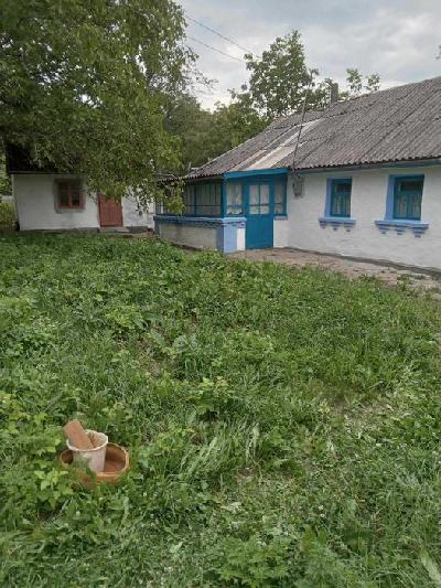  - фото нерухомості  