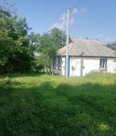  - фото нерухомості  