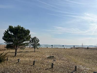  - фото нерухомості  