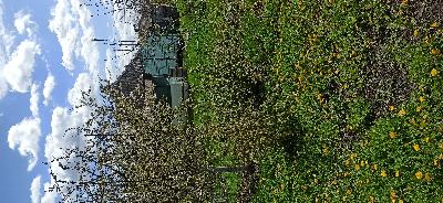 будинок продам село Лиман, фото