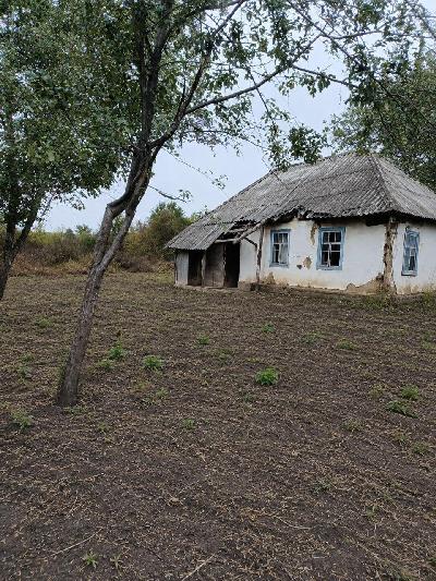 земля продам село Запруддя, фото